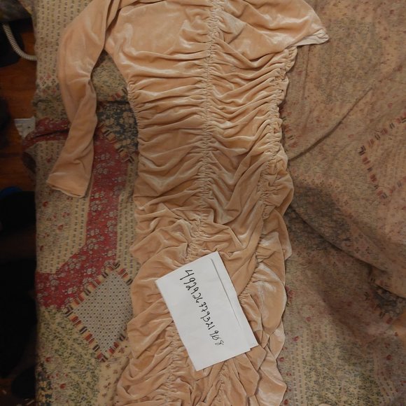 Velvet Ruched Dress - Picture 5 of 7